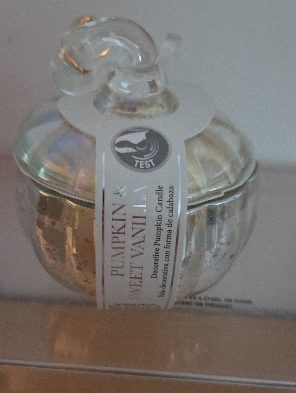 Pumpkin & Sweet Vanilla Decorative Candle - Silver Finish NWT